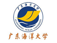 课后反馈机制：每周一份成长小结
